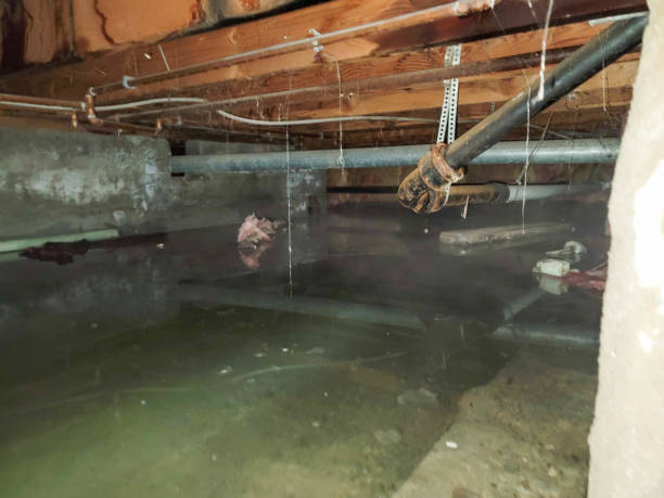 Best Basement water damage restoration  in Merrifield, VA