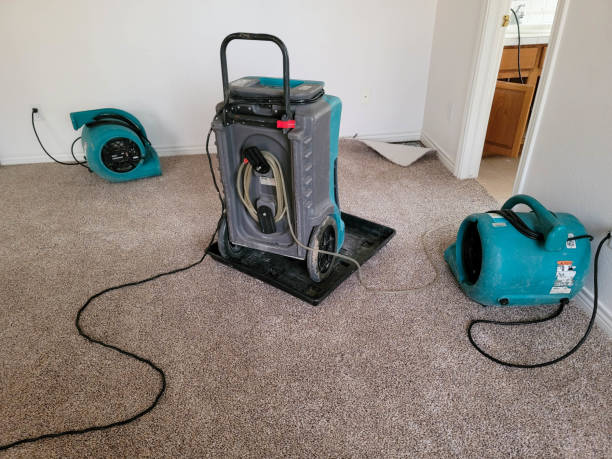 Best Flood restoration services  in Merrifield, VA