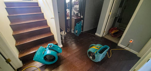 Best Sewage cleanup and water damage restoration  in Merrifield, VA