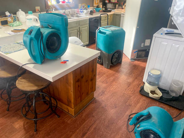 Best Basement water damage restoration  in Merrifield, VA