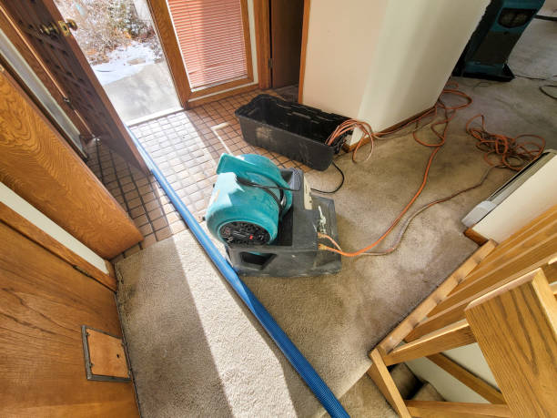Best Water damage contractors near me  in Merrifield, VA