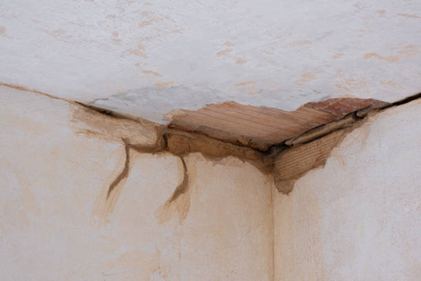 Best Flood damage cleanup  in Merrifield, VA