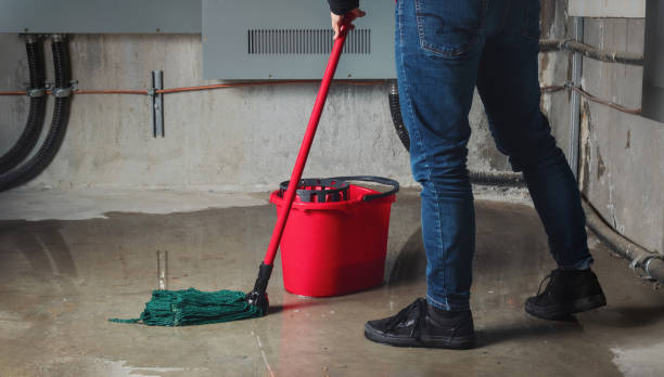 Best Fire Damage Restoration  in Merrifield, VA