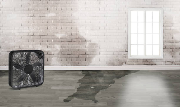  Merrifield, VA Water damage restoration Pros
