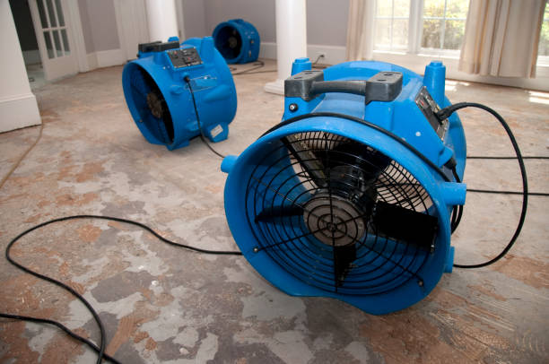 Best Fire Damage Restoration  in Merrifield, VA