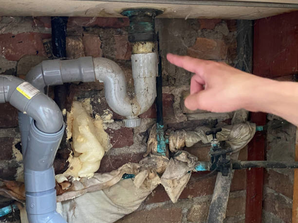 Best Flood damage cleanup  in Merrifield, VA