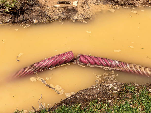 Best 24/7 water damage repair  in Merrifield, VA